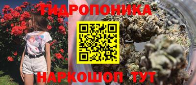 дживик Северобайкальск